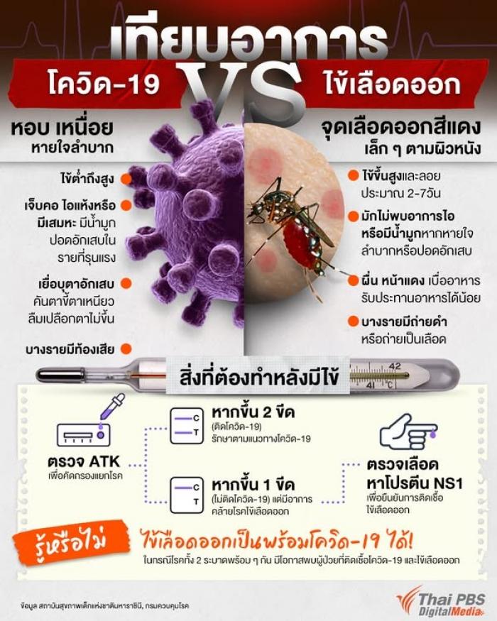 โควิด-19 Vs ไข้เลือดออก