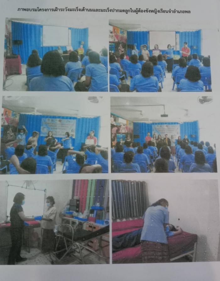 โครงการเฝ้าระวังโรคมะเร็งเต้านม โรคมะ...